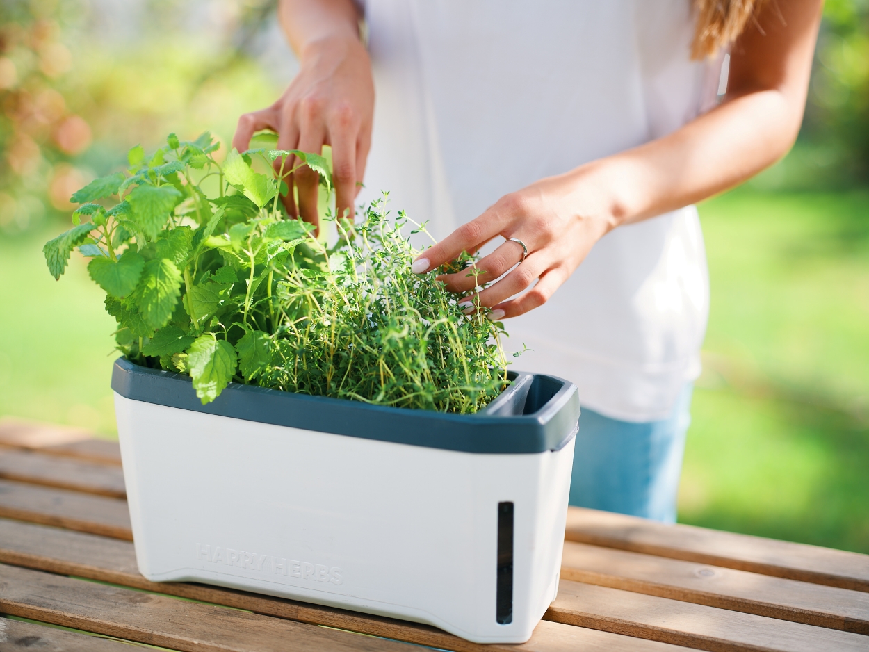 Kvetináče a doplnky Gusta Garden